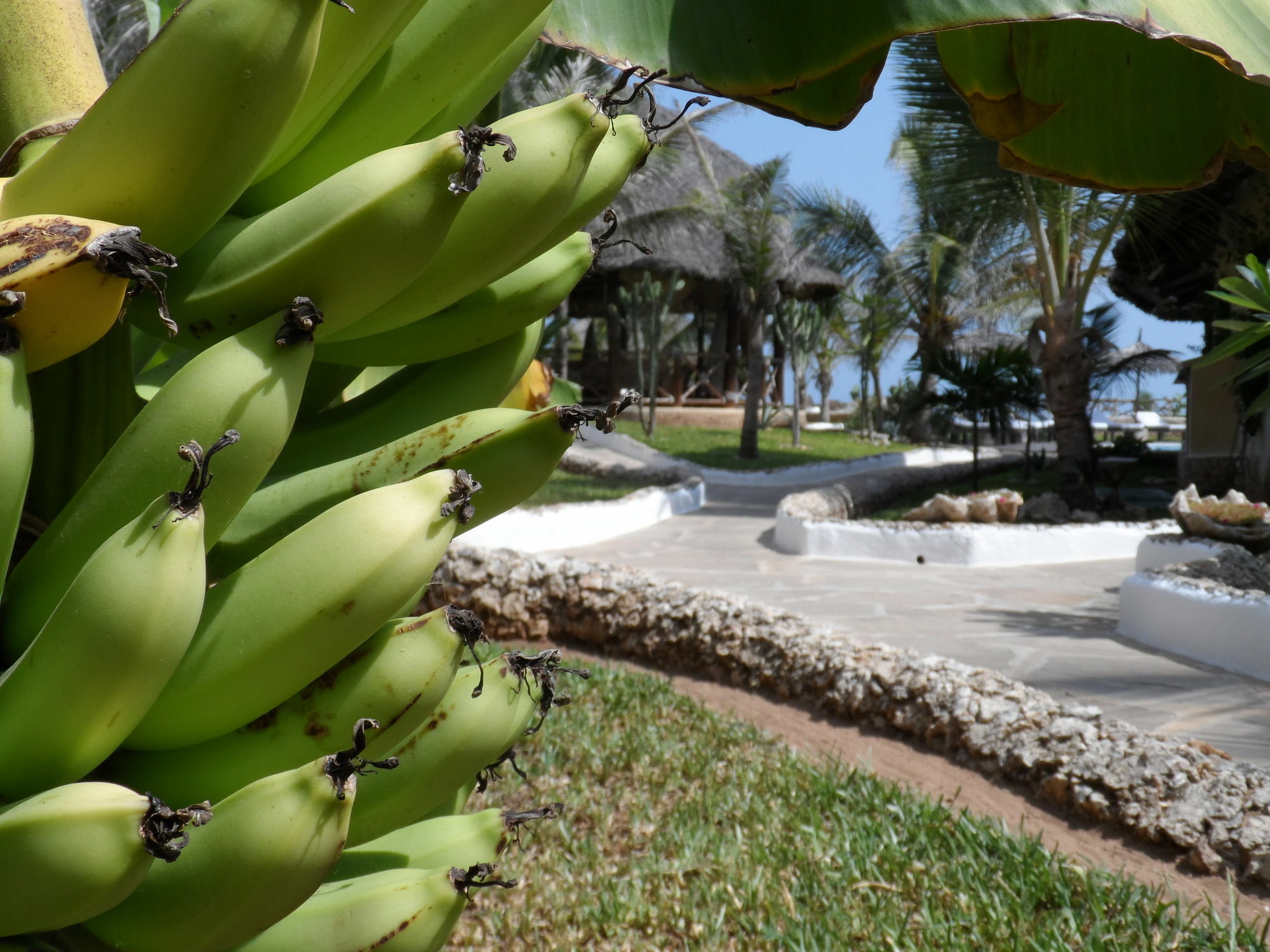 Mawe Resort Watamu Boutique Hotel المظهر الخارجي الصورة